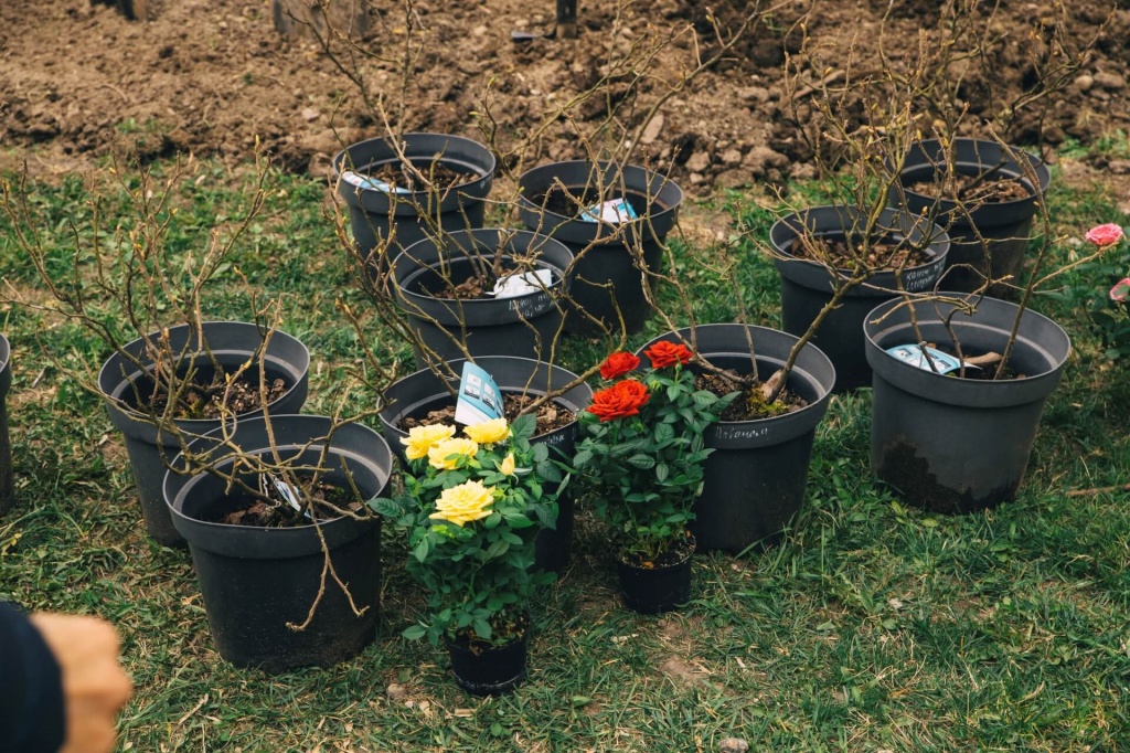 Субботник в курском сквере Розы 3